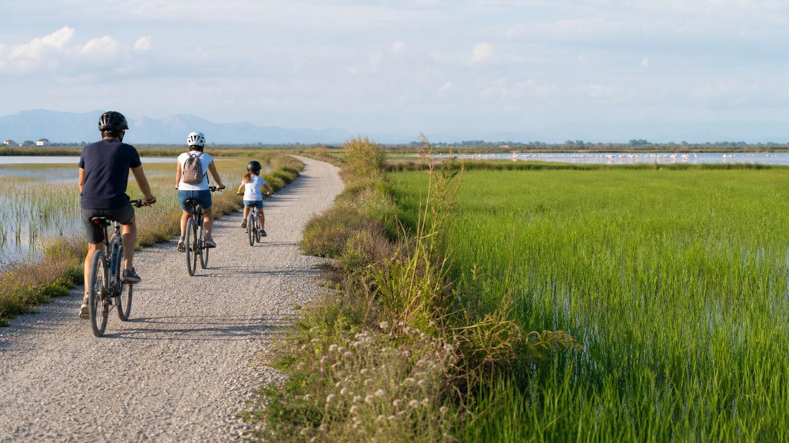 Ebro Delta Family Bike Loop: Encanyissada and Poblenou