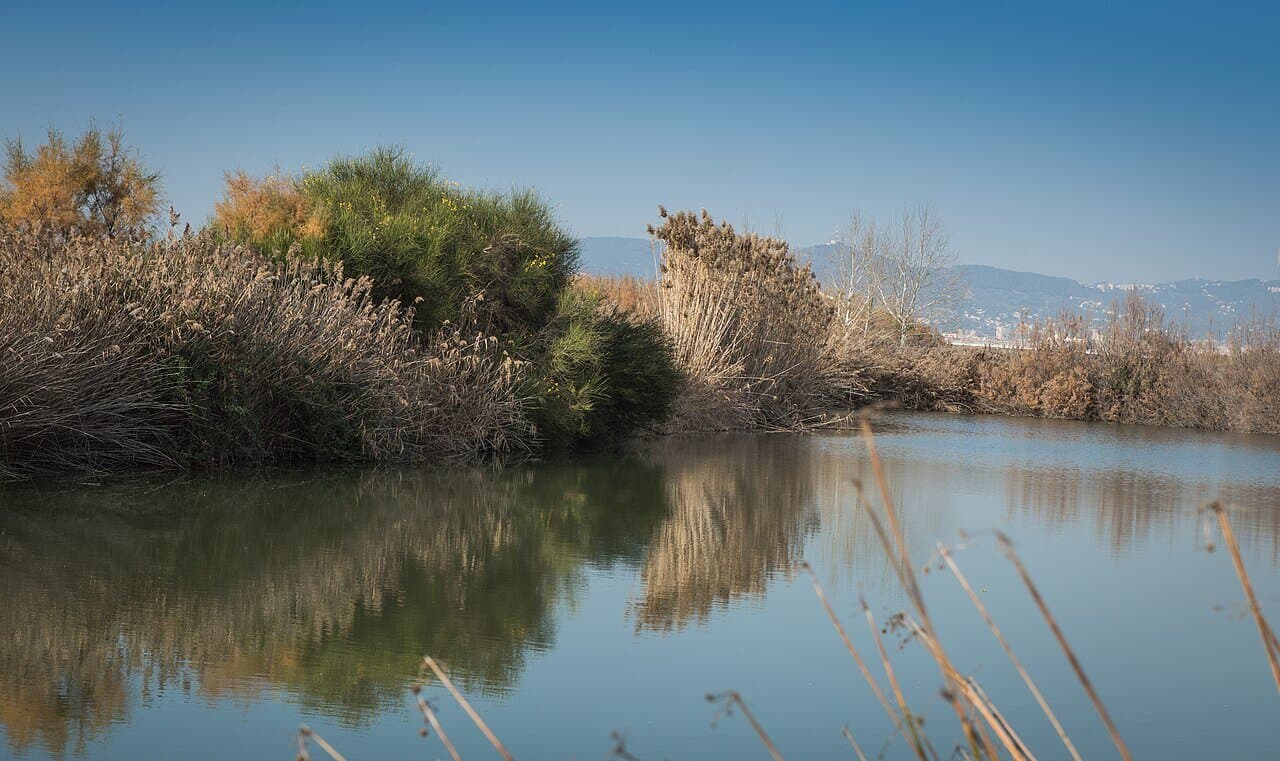 El Prat and the Llobregat Delta: A Flat Cycling Day